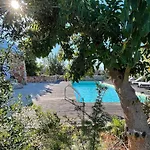 Bosco Degli Ulivi *